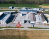 Terschl GmbH & Co KG