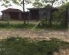 Tier , Wild-u Spielpark Preding