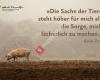 Tierbotschaften
