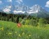 Tiroler Wanderhotels