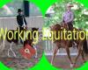 Traditionelle Working Equitation Styria