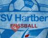 TSV Prolactal Hartberg - Fußball