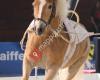 Union Reitclub St. Georg Wels-Thalheim