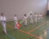 Union Sakura Karate Herzogenburg