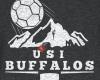 USI Handball Buffalos