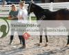 Vanessa Wöhrer - Pferdegestütztes Persönlichkeitstraining