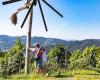 VEREIN Die Südsteirische Weinstraße
