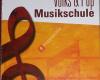 Volks & Popmusikschule, Musiker, Entertainer