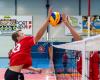 Volleyball Akademie Wien