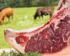 Wagyu vom Kohlenerhof