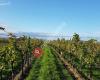 Weingut Beyer