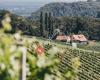 Weingut & Buschenschank Trummer am Obegg