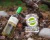 Weingut Familie Frei