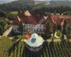 Weingut Familie Thaller