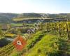 Weingut Gerhard Deim