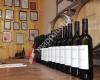 Weingut Harald Kiss
