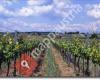 Weingut Kirchberghof & Rittschi's Buschenschank