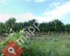 Weingut Kitla