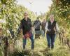 Weingut Lassl