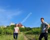 Weingut Pesau