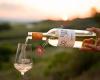 Weingut Pröstler
