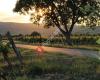 Weingut Roland & Judith Toifl