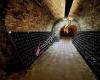 Weingut Steininger