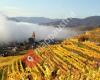 Weingut Weixelbaum Wachau