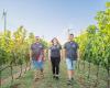 Weingut Wilhelm Thell