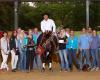 Western Training Center H&D Schulz Quarter Horses