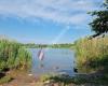 Wienerberg Teich-Ufer