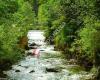 Wilde Wasser Talbachklamm