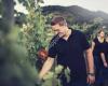 Winzerhof Supperer