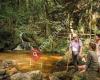 Ysperklamm - wildes Wasser, wilder Wald