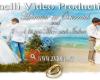 Zvideo Productions